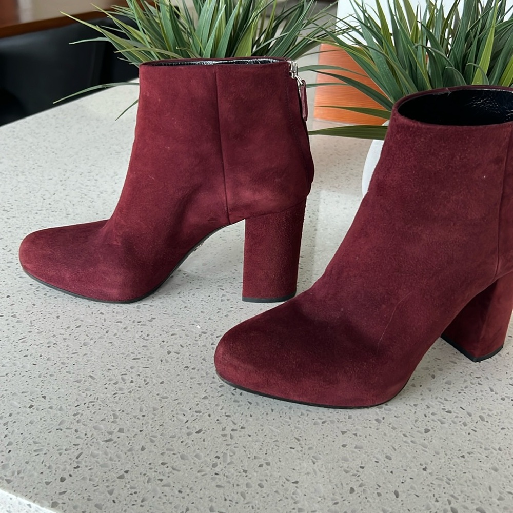 Prada Booties